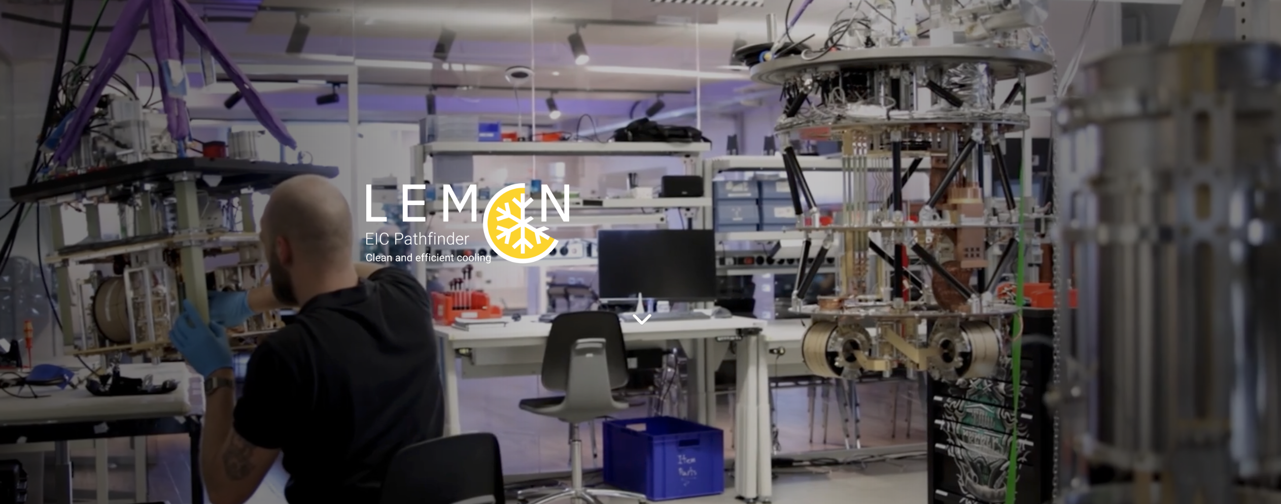 Screenshot LEMON project website